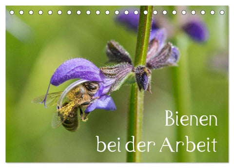 Bienen bei der Arbeit (Tischkalender 2026 DIN A5 quer), CALVENDO Monatskalender