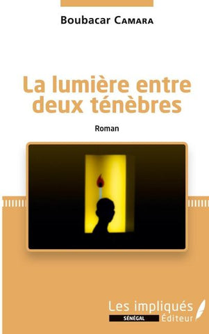 La lumière entre deux ténèbres. Roman