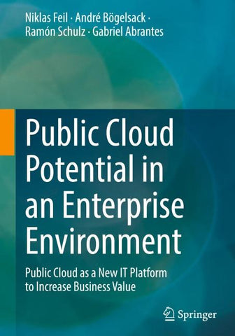 Public Cloud Potential in an Enterprise Environment