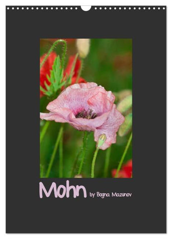 Mohn (Wandkalender 2026 DIN A3 hoch), CALVENDO Monatskalender