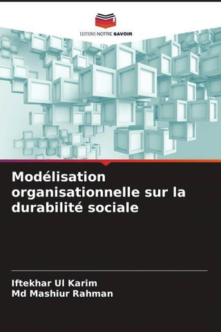 Modélisation organisationnelle sur la durabilité sociale