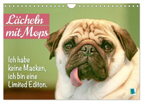 Lächeln mit Mops (Wandkalender 2026 DIN A4 quer), CALVENDO Monatskalender