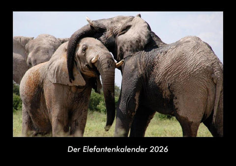Der Elefantenkalender 2026 Fotokalender DIN A3