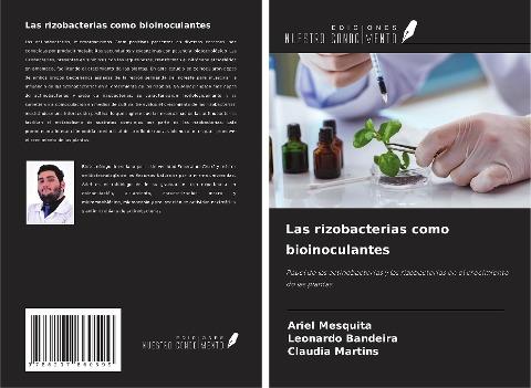 Las rizobacterias como bioinoculantes