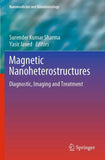 Magnetic Nanoheterostructures