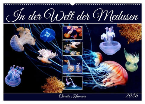 In der Welt der Medusen (Wandkalender 2026 DIN A2 quer), CALVENDO Monatskalender
