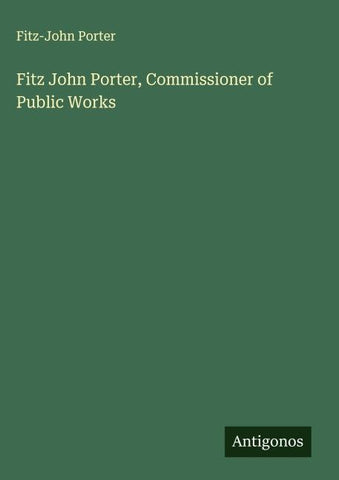 Fitz John Porter, Commissioner of Public Works