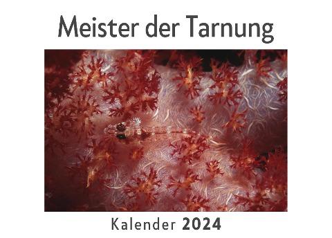 Meister der Tarnung (Wandkalender 2024, Kalender DIN A4 quer, Monatskalender im Querformat mit Kalendarium, Das perfekte Geschenk)