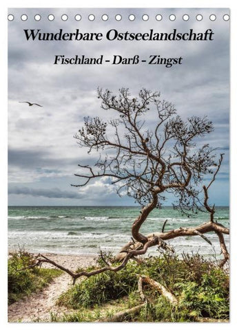 Wunderbare Ostseelandschaft Fischland-Darß-Zingst (Tischkalender 2026 DIN A5 hoch), CALVENDO Monatskalender