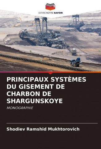 PRINCIPAUX SYSTÈMES DU GISEMENT DE CHARBON DE SHARGUNSKOYE