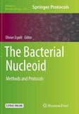 The Bacterial Nucleoid