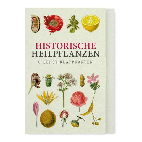 Historische Heilpflanzen – Acht Kunst-Klappkarten