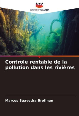 Contrôle rentable de la pollution dans les rivières