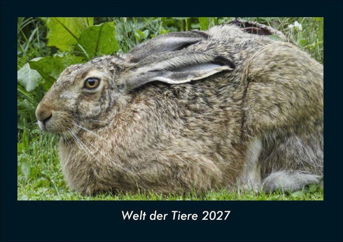 Welt der Tiere 2027 Fotokalender DIN A4