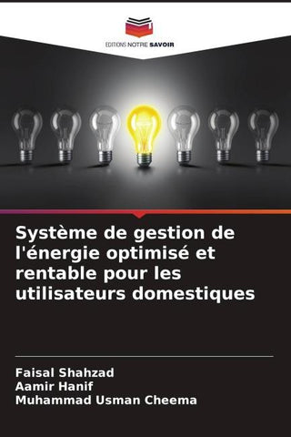 Système de gestion de l'énergie optimisé et rentable pour les utilisateurs domestiques
