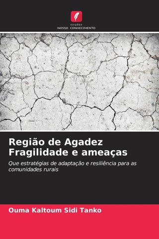 Região de Agadez Fragilidade e ameaças