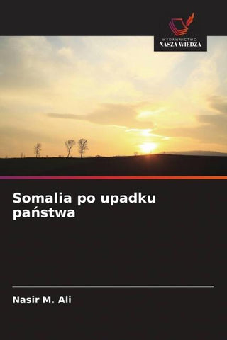 Somalia po upadku pa¿stwa