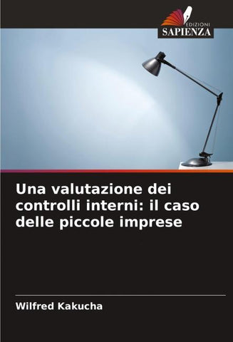 Una valutazione dei controlli interni: il caso delle piccole imprese
