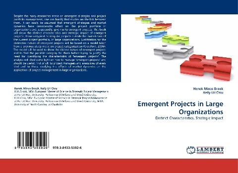 Emergent Projects in Large Organizations
