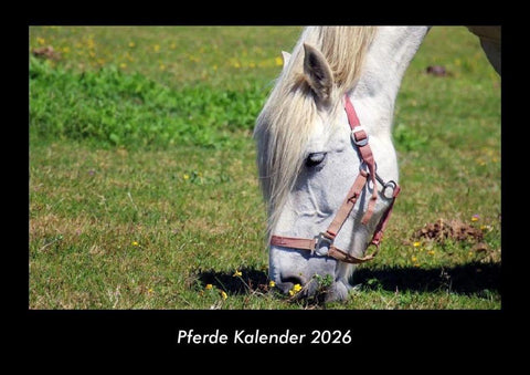Pferde Kalender 2026 Fotokalender DIN A3