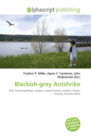 Blackish-grey Antshrike