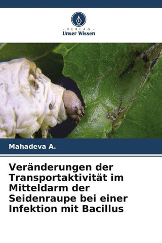 Veränderungen der Transportaktivität im Mitteldarm der Seidenraupe bei einer Infektion mit Bacillus