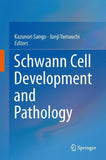 Schwann Cell Development and Pathology