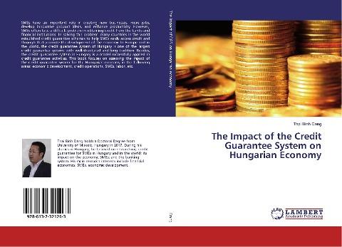 The Impact of the Credit Guarantee System on Hungarian Economy