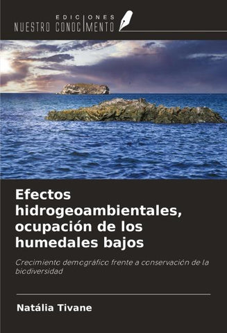 Efectos hidrogeoambientales, ocupación de los humedales bajos