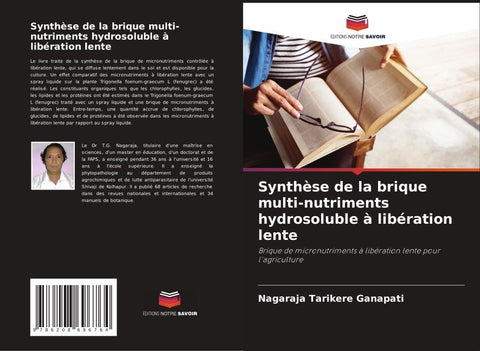 Synthèse de la brique multi-nutriments hydrosoluble à libération lente