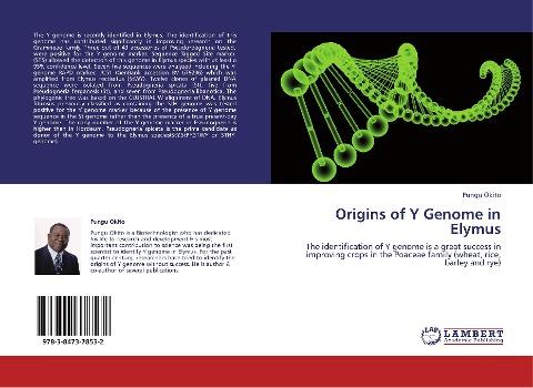 Origins of Y Genome in Elymus