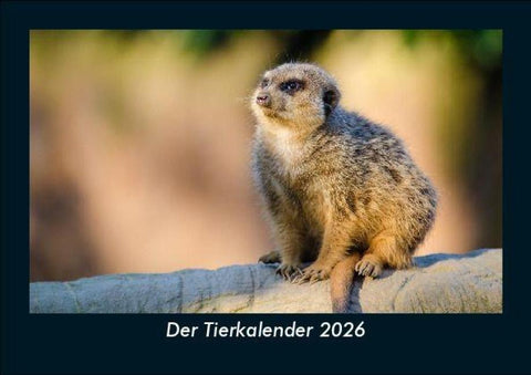 Der Tierkalender 2026 Fotokalender DIN A5