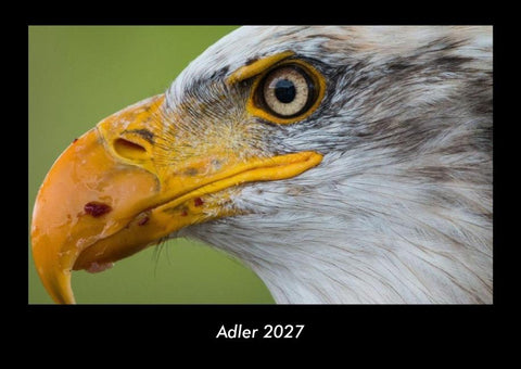 Adler 2027 Fotokalender DIN A3