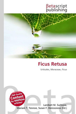 Ficus Retusa