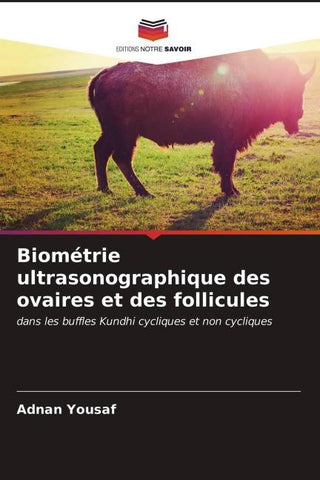 Biométrie ultrasonographique des ovaires et des follicules