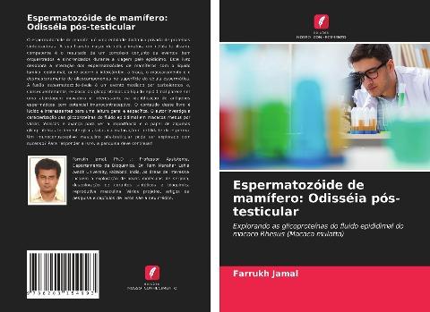 Espermatozóide de mamífero: Odisséia pós-testicular