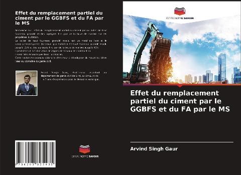 Effet du remplacement partiel du ciment par le GGBFS et du FA par le MS