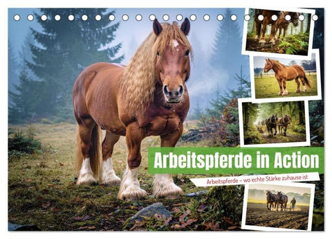 Arbeitspferde in Action (Tischkalender 2027 DIN A5 quer), CALVENDO Monatskalender