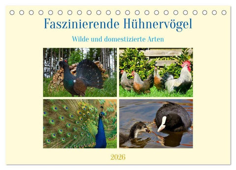 Faszinierende Hühnervögel (Tischkalender 2026 DIN A5 quer), CALVENDO Monatskalender