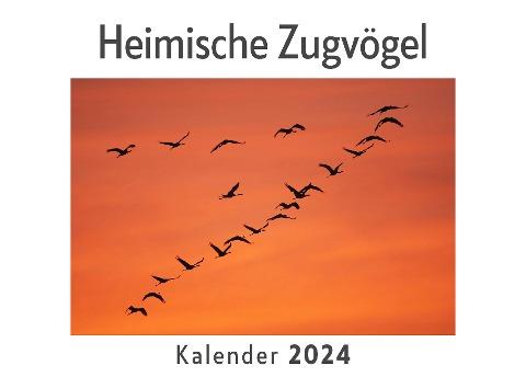 Heimische Zugvögel (Wandkalender 2024, Kalender DIN A4 quer, Monatskalender im Querformat mit Kalendarium, Das perfekte Geschenk)
