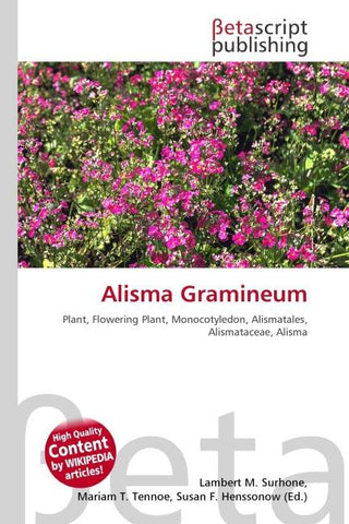 Alisma Gramineum