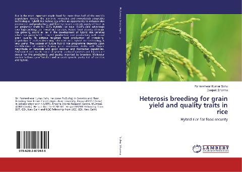 Heterosis breeding for grain yield and quality traits in rice