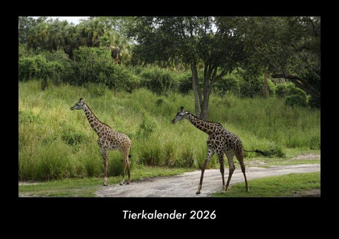 Tierkalender 2026 Fotokalender DIN A3