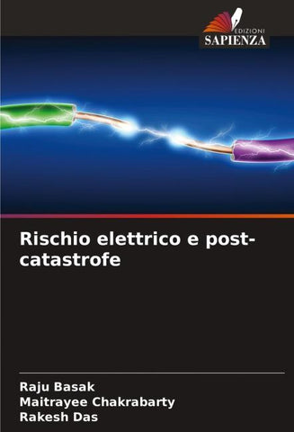 Rischio elettrico e post-catastrofe