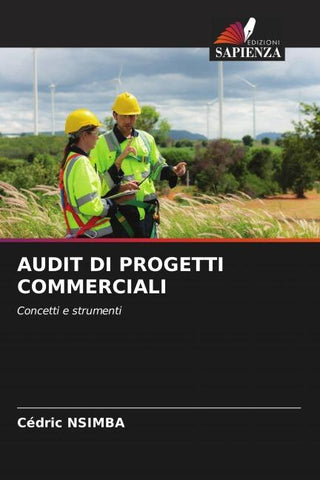 AUDIT DI PROGETTI COMMERCIALI