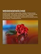 Weidengewächse
