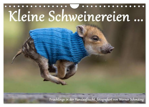 Kleine Schweinereien (Wandkalender 2026 DIN A4 quer), CALVENDO Monatskalender