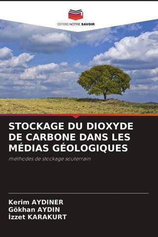 STOCKAGE DU DIOXYDE DE CARBONE DANS LES MÉDIAS GÉOLOGIQUES