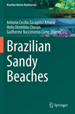 Brazilian Sandy Beaches