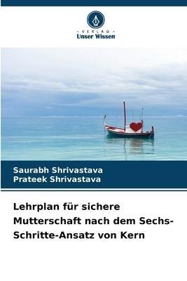 Lehrplan für sichere Mutterschaft nach dem Sechs-Schritte-Ansatz von Kern